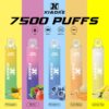 【XIAOKE 梟客】拋棄式🍬  7500口