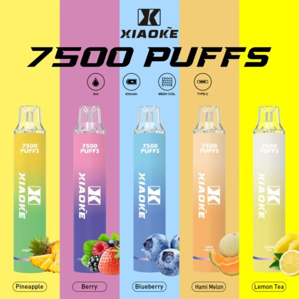 【XIAOKE 梟客】拋棄式🍬  7500口