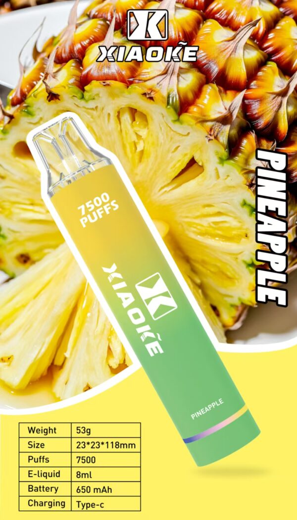 【XIAOKE 梟客】拋棄式🍬  7500口